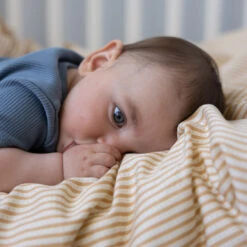 Bedding, Baby, 70x100cm - GOTS - Oatfield -Baby Bliss Sales Store 5712805141325 11