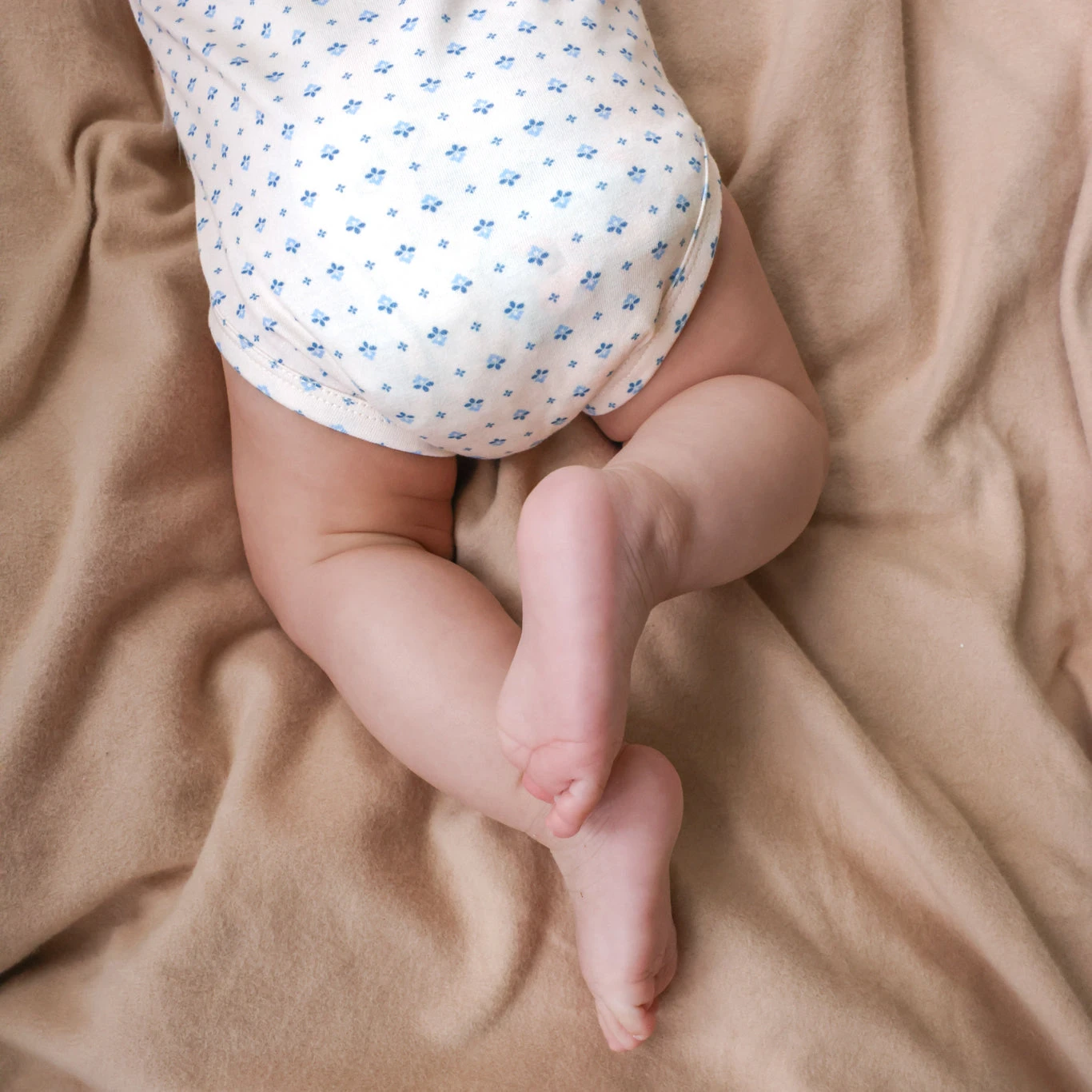 Long Sleeved Body Holly - GOTS - Capri 4 Long Sleeved Body Holly - GOTS - Capri - Image 4