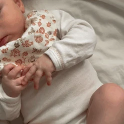 Bandana Bib, Jersey, 2-Pack - GOTS - Augusta -Baby Bliss Sales Store Designudennavn 4